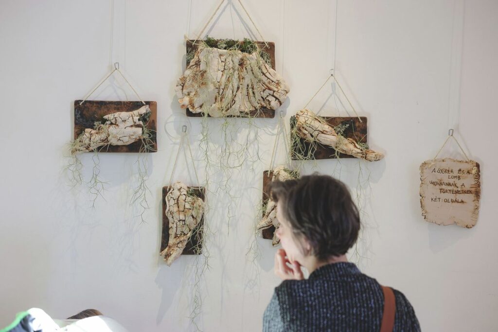 Berzsenyi Marianna keramikus kiállítása Egerben